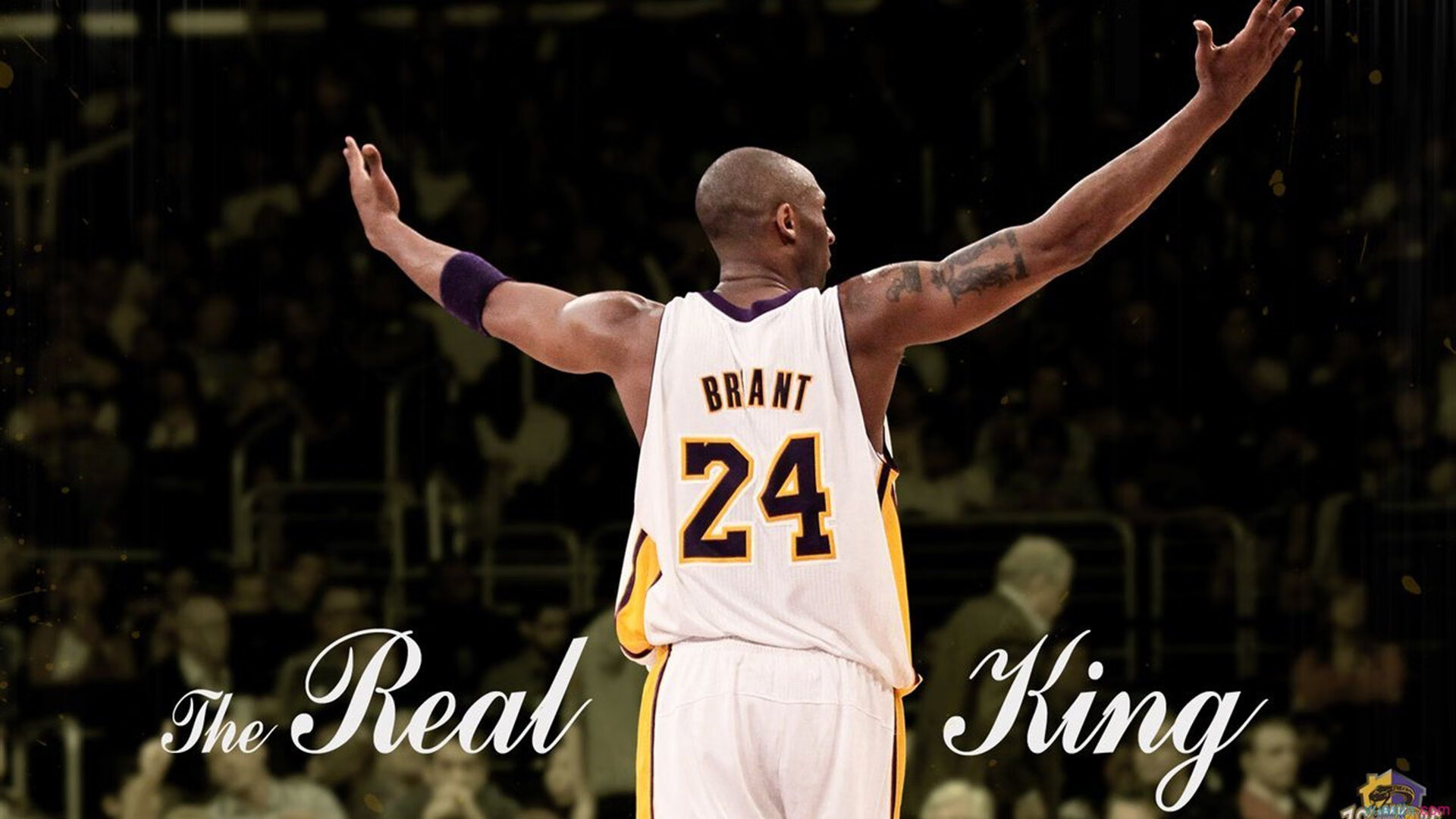 赛前热身：球员纷纷展示绝技瞬间，赛前热身的描述好文章